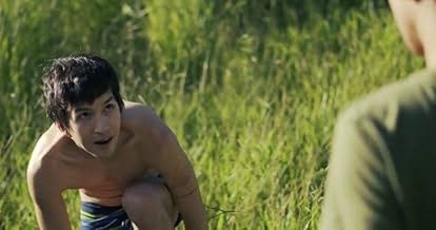 Primos (Filme): Análise Completa e Interpretação Emocional